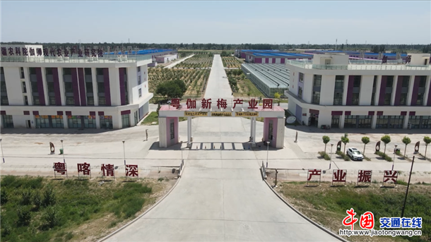 图片6