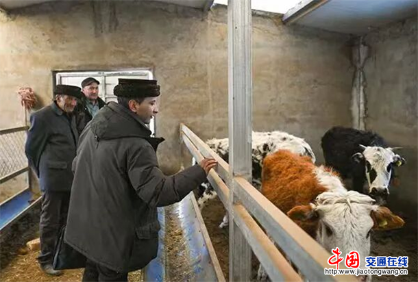 图片4