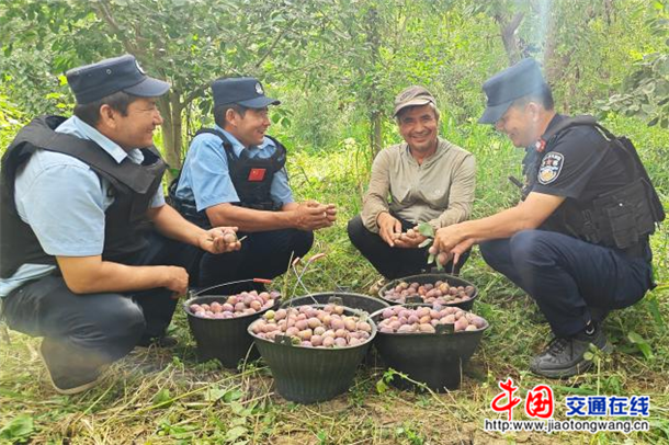 图片5