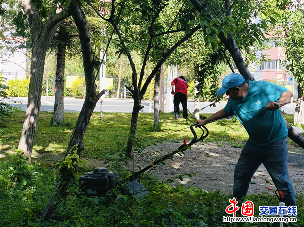 庭院环境整治现场拍摄者：阿里木江·肉孜